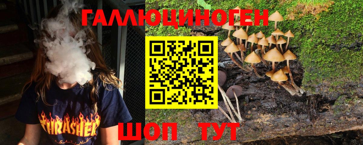 Галлюциногенные грибы Psilocybe  Вход с VPN  магазин продажи наркотиков  Нижнеудинск 