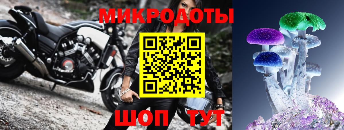 Псилоцибиновые грибы Cubensis Нижнеудинск